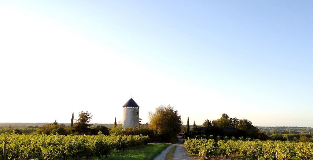Bed and Breakfast Au Moulin Geant Rochefort-sur-Loire Экстерьер фото