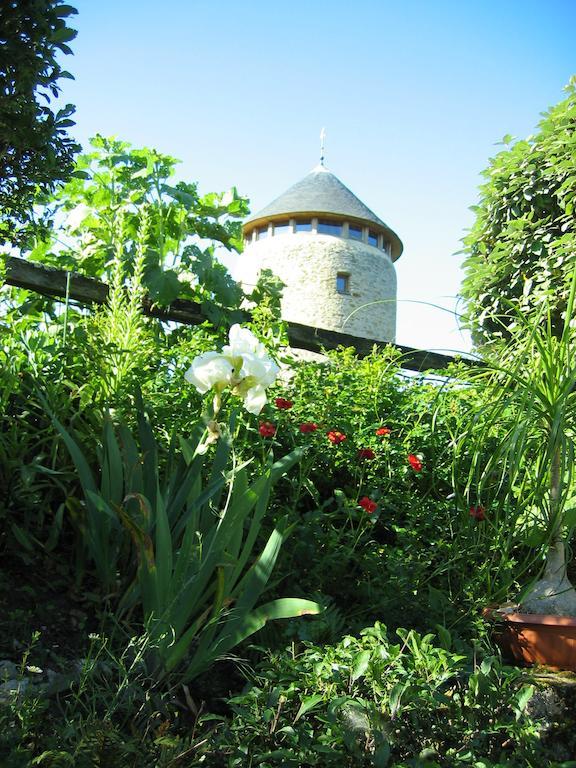 Bed and Breakfast Au Moulin Geant Rochefort-sur-Loire Экстерьер фото
