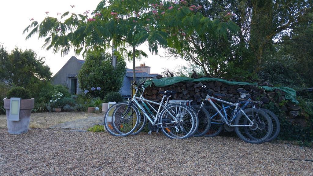 Bed and Breakfast Au Moulin Geant Rochefort-sur-Loire Экстерьер фото